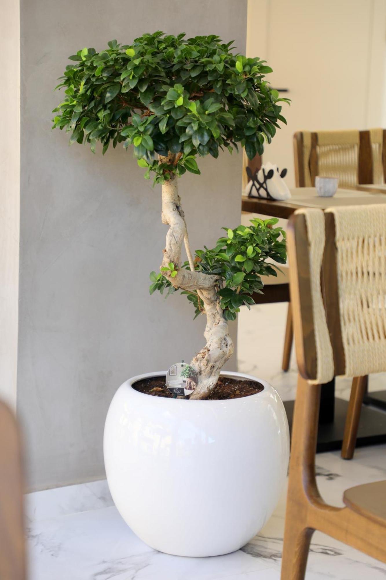 Niklas Boutique Hotel Sarandë 外观 照片